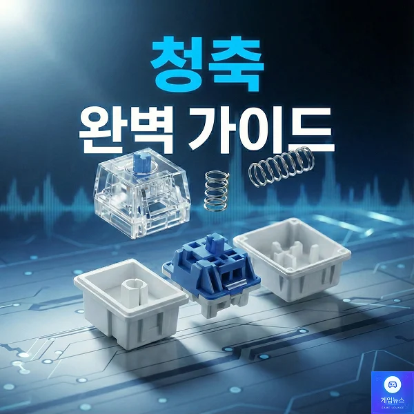 청축 완벽가이드