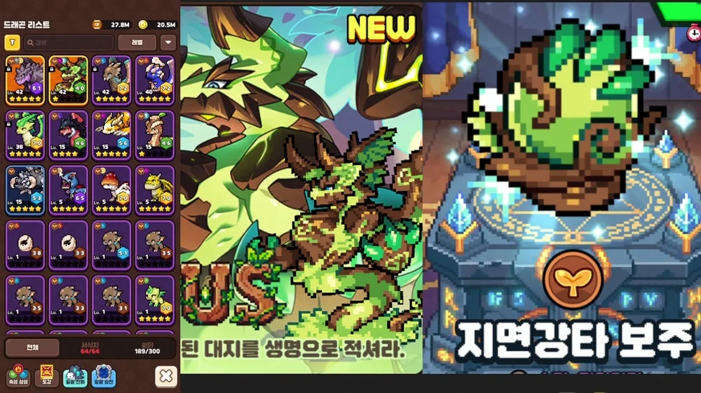 육성 중인 드래곤들의 현재 레벨과 승급 상태 및 보유 재화 현황